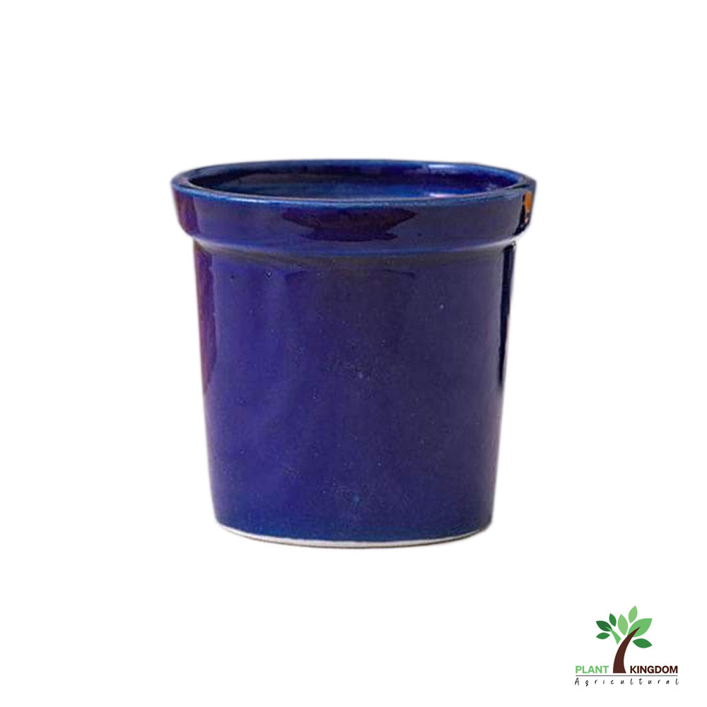 Caramic Pot White Ceramic Pot Design - Plant Kingdom UAE